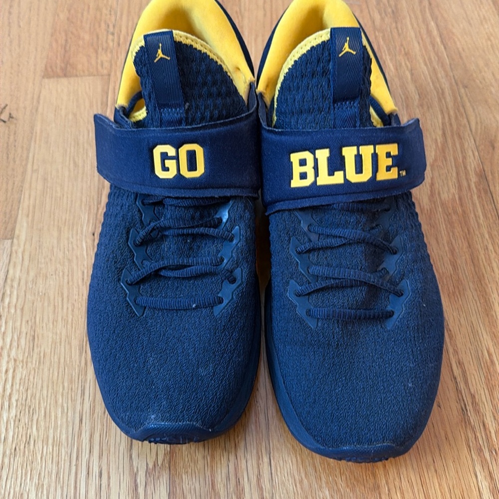 Jordan university of Michigan shoes